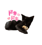 黒猫ヨルヨル（個別スタンプ：9）