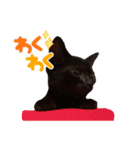 黒猫ヨルヨル（個別スタンプ：10）