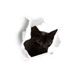 黒猫ヨルヨル（個別スタンプ：15）