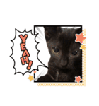 黒猫ヨルヨル（個別スタンプ：23）