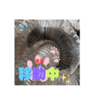 フェレット日和。pt.2（個別スタンプ：11）