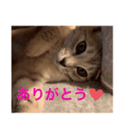 むぎたんゆきたん2（個別スタンプ：6）
