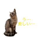 むぎたんゆきたん2（個別スタンプ：10）