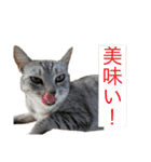 むぎたんゆきたん2（個別スタンプ：15）