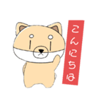 Shibataスタンプ（個別スタンプ：16）