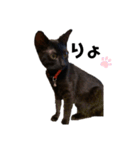 黒猫のあんちゃん（個別スタンプ：9）