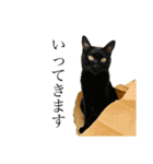 ねこのくみこ と めぐみ と さちの（個別スタンプ：15）