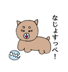 ふくしまさこらんしょ！柴犬（個別スタンプ：18）