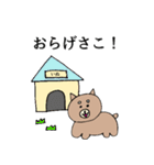 ふくしまさこらんしょ！柴犬（個別スタンプ：19）