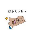 ふくしまさこらんしょ！柴犬（個別スタンプ：23）