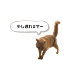 ビスとランの雑なスタンプ（個別スタンプ：3）