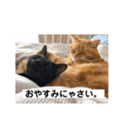 ビスとランの雑なスタンプ（個別スタンプ：14）