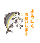 毎日使える青物時々…2（個別スタンプ：3）