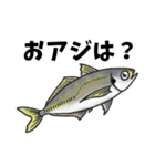 毎日使える青物時々…2（個別スタンプ：11）