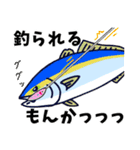 毎日使える青物時々…2（個別スタンプ：12）