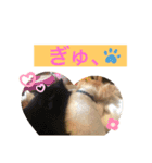 くーぺろこ2（個別スタンプ：1）