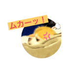 くーぺろこ2（個別スタンプ：16）