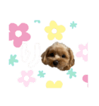 ころうに姉妹（個別スタンプ：9）