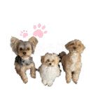ころうに姉妹（個別スタンプ：27）