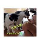 E3と仲間たち（個別スタンプ：8）