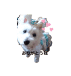 天使になったcoco（個別スタンプ：2）