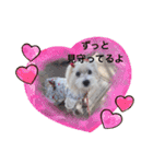 天使になったcoco（個別スタンプ：12）