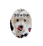 天使になったcoco（個別スタンプ：18）