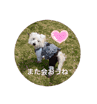 天使になったcoco（個別スタンプ：19）