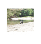 チャーリー4（個別スタンプ：14）