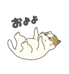 ぽにゃぽにゃのねこ（個別スタンプ：1）