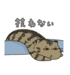 ぽにゃぽにゃのねこ（個別スタンプ：25）