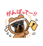 ミニピンのるーくだよ（個別スタンプ：4）