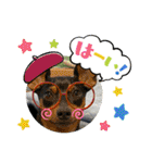 ミニピンのるーくだよ（個別スタンプ：23）