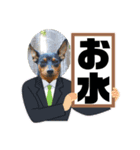 ミニピンのるーくだよ（個別スタンプ：34）