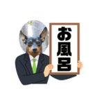 ミニピンのるーくだよ（個別スタンプ：40）
