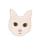 可愛いめちゃ|| 猫 || Daily Life Emoji（個別スタンプ：1）