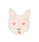 可愛いめちゃ|| 猫 || Daily Life Emoji（個別スタンプ：2）