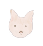 可愛いめちゃ|| 猫 || Daily Life Emoji（個別スタンプ：3）