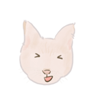 可愛いめちゃ|| 猫 || Daily Life Emoji（個別スタンプ：16）