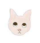 可愛いめちゃ|| 猫 || Daily Life Emoji（個別スタンプ：18）