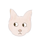 可愛いめちゃ|| 猫 || Daily Life Emoji（個別スタンプ：19）