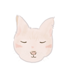 可愛いめちゃ|| 猫 || Daily Life Emoji（個別スタンプ：20）