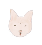 可愛いめちゃ|| 猫 || Daily Life Emoji（個別スタンプ：23）