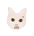 可愛いめちゃ|| 猫 || Daily Life Emoji（個別スタンプ：24）