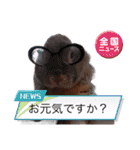 うさぎのぴょん太No.1（個別スタンプ：3）
