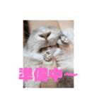 うさぎのぴょん太No.1（個別スタンプ：4）
