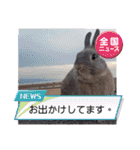 うさぎのぴょん太No.1（個別スタンプ：5）