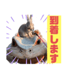 うさぎのぴょん太No.1（個別スタンプ：9）