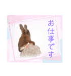 うさぎのぴょん太No.1（個別スタンプ：11）