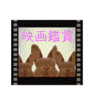 うさぎのぴょん太No.1（個別スタンプ：13）